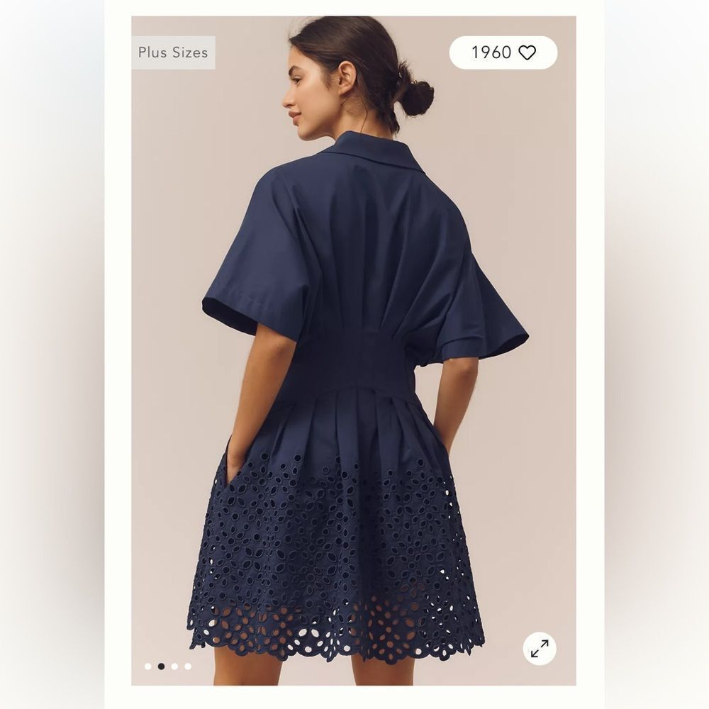 Anthropologie The Tobie Button-Front Pleated Mini Shirt Dress by Exquise - Picture 2 of 6